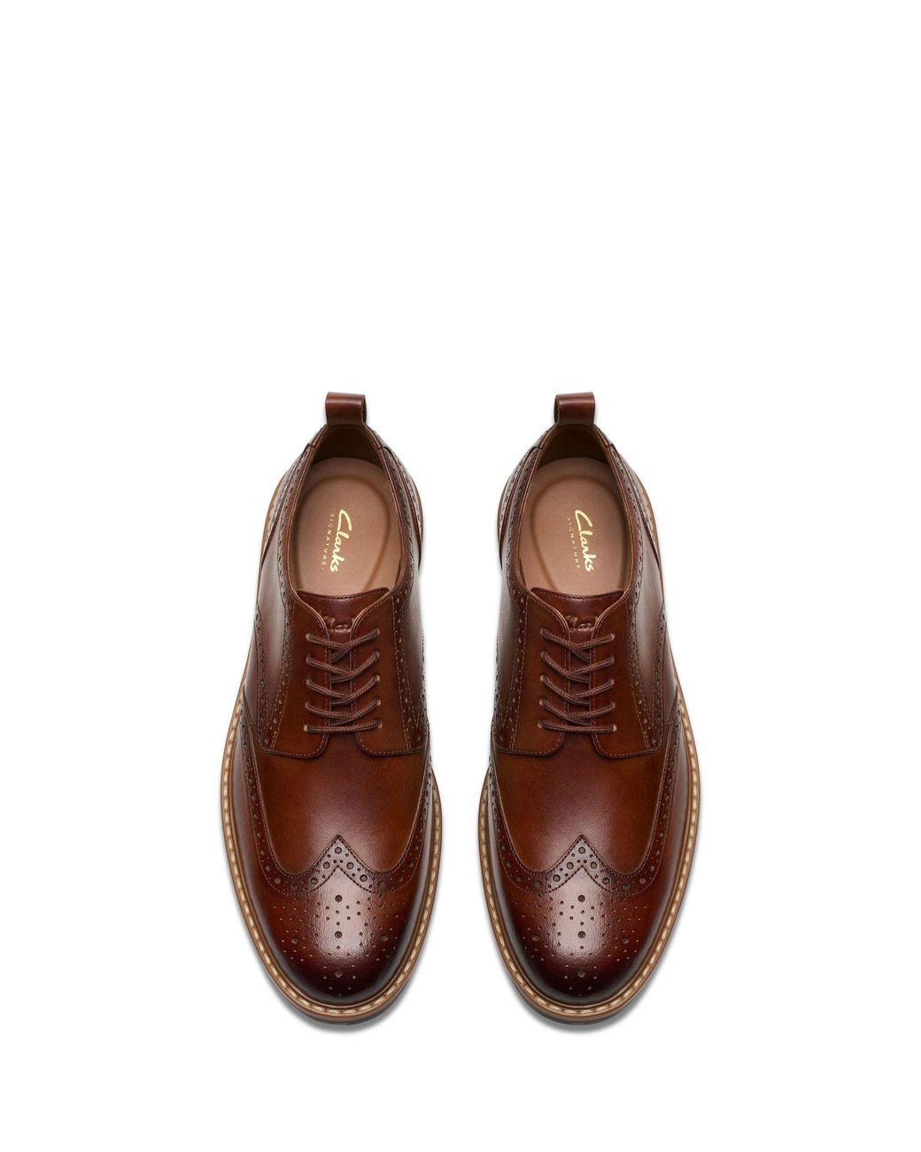 Clarks Standard Fit (G) Leather Aldwin Limit Shoes in Brown für Herren