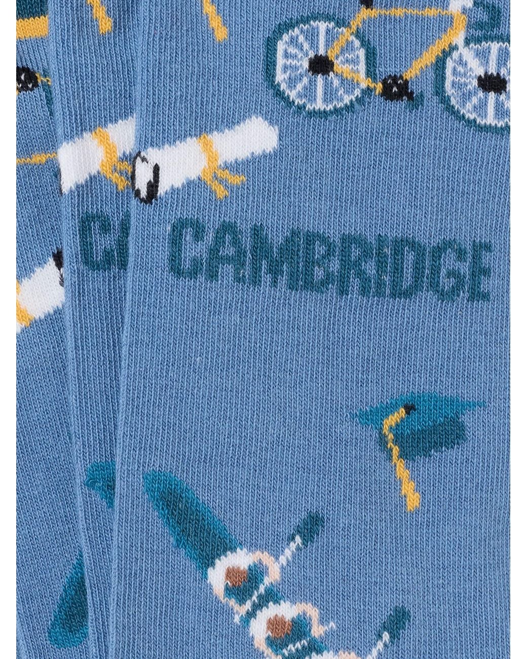 FatFace Blue Cambridge Socks for men