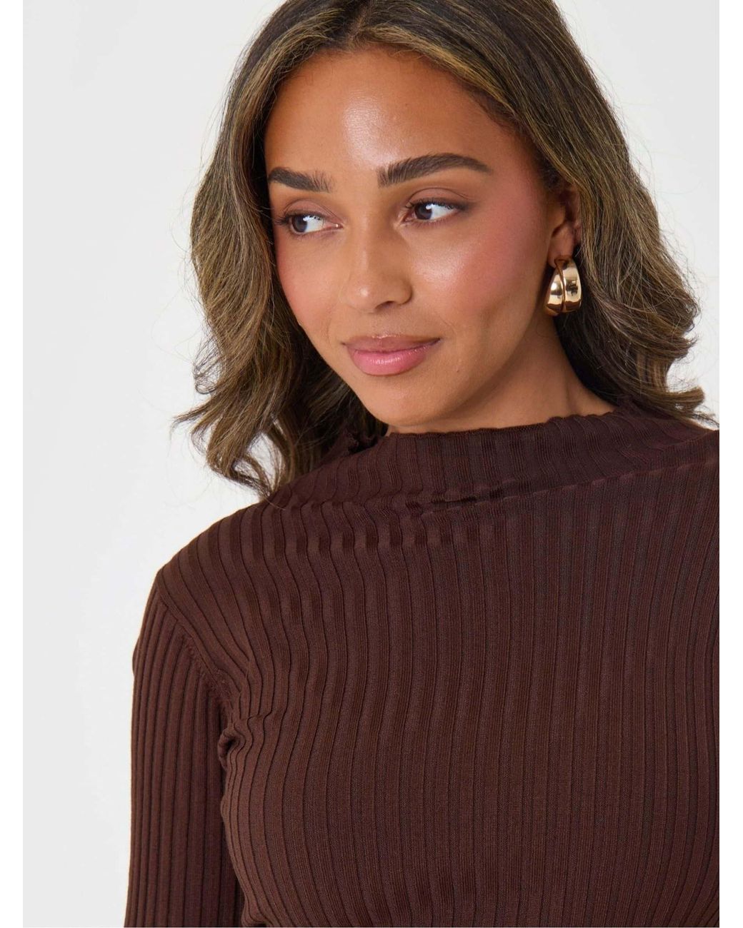 Threadbare Brown Ribbed High Neck Jumper