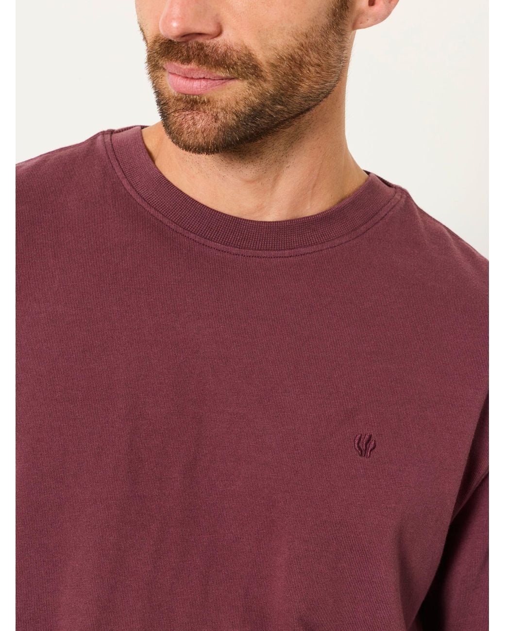 FatFace Red Alton Short Sleeve T-Shirt for men