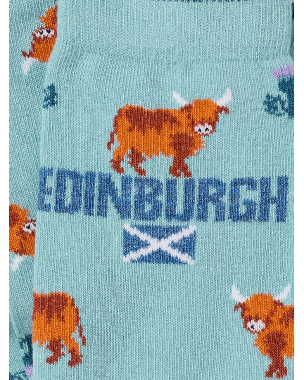 FatFace Blue Fatface Edinburgh Socks