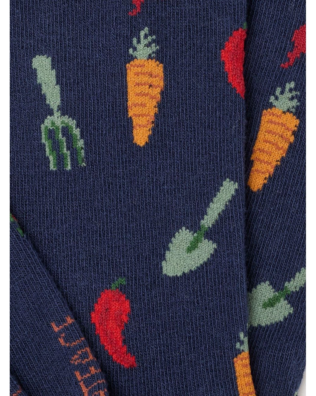 FatFace Blue Fatface Vegetable Socks for men