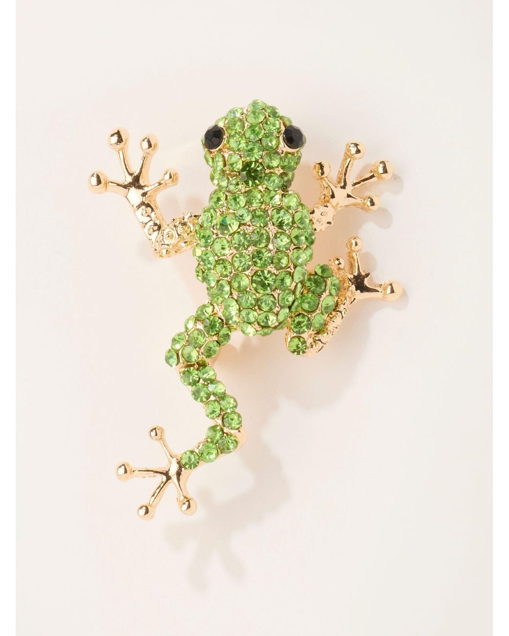 FatFace Brown Frog Brooch