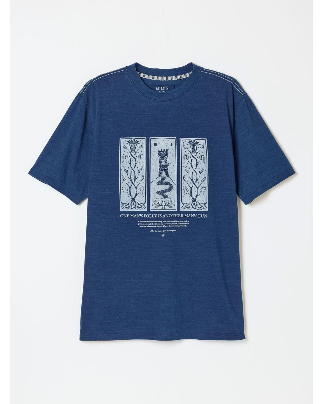 FatFace Blue Folly Graphic T-Shirt for men