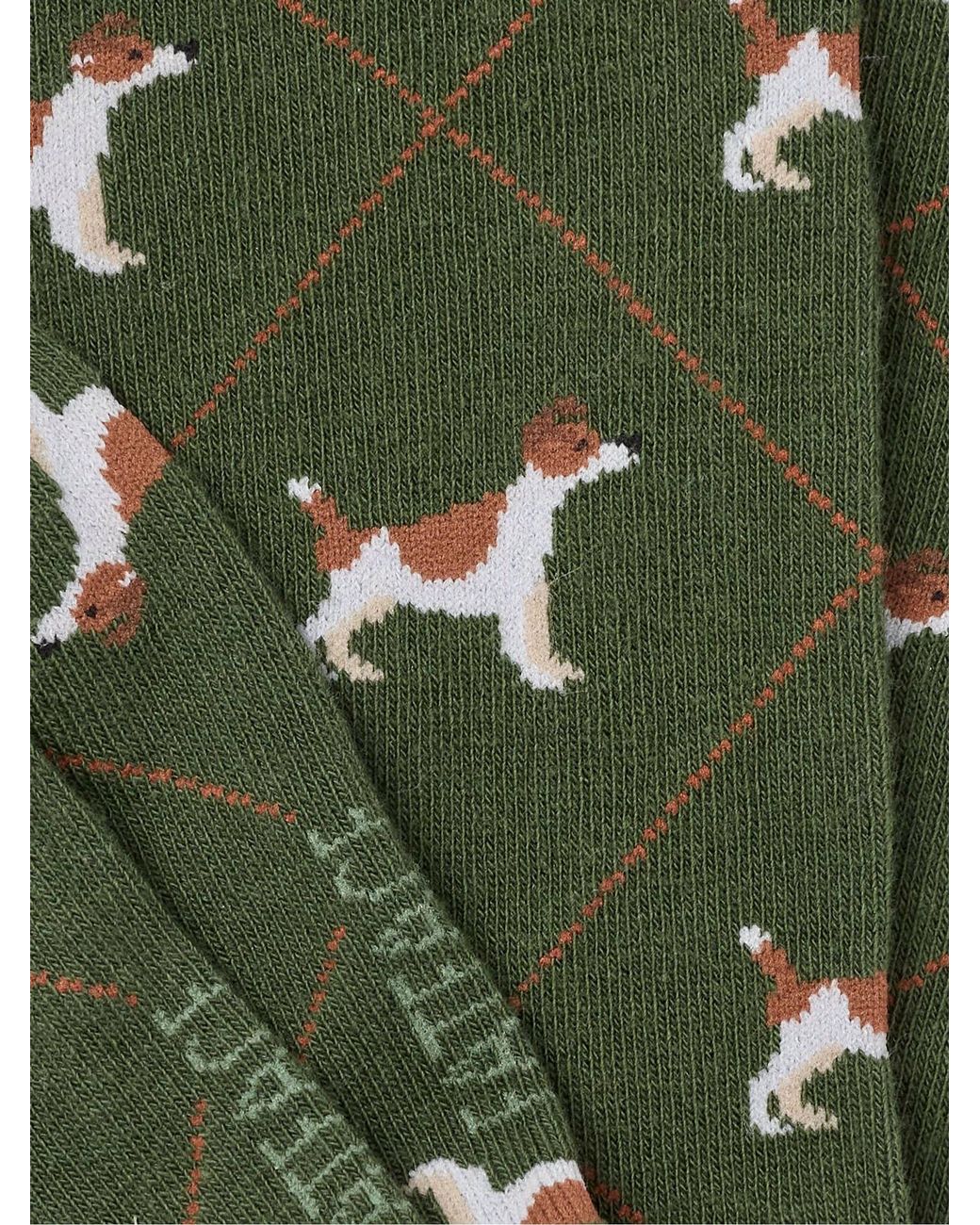 FatFace Green Fatface Dog Argyle Socks for men