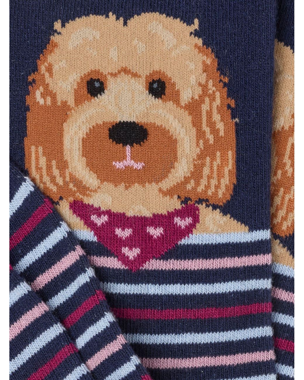 FatFace Blue Fatface Cockapoo Socks