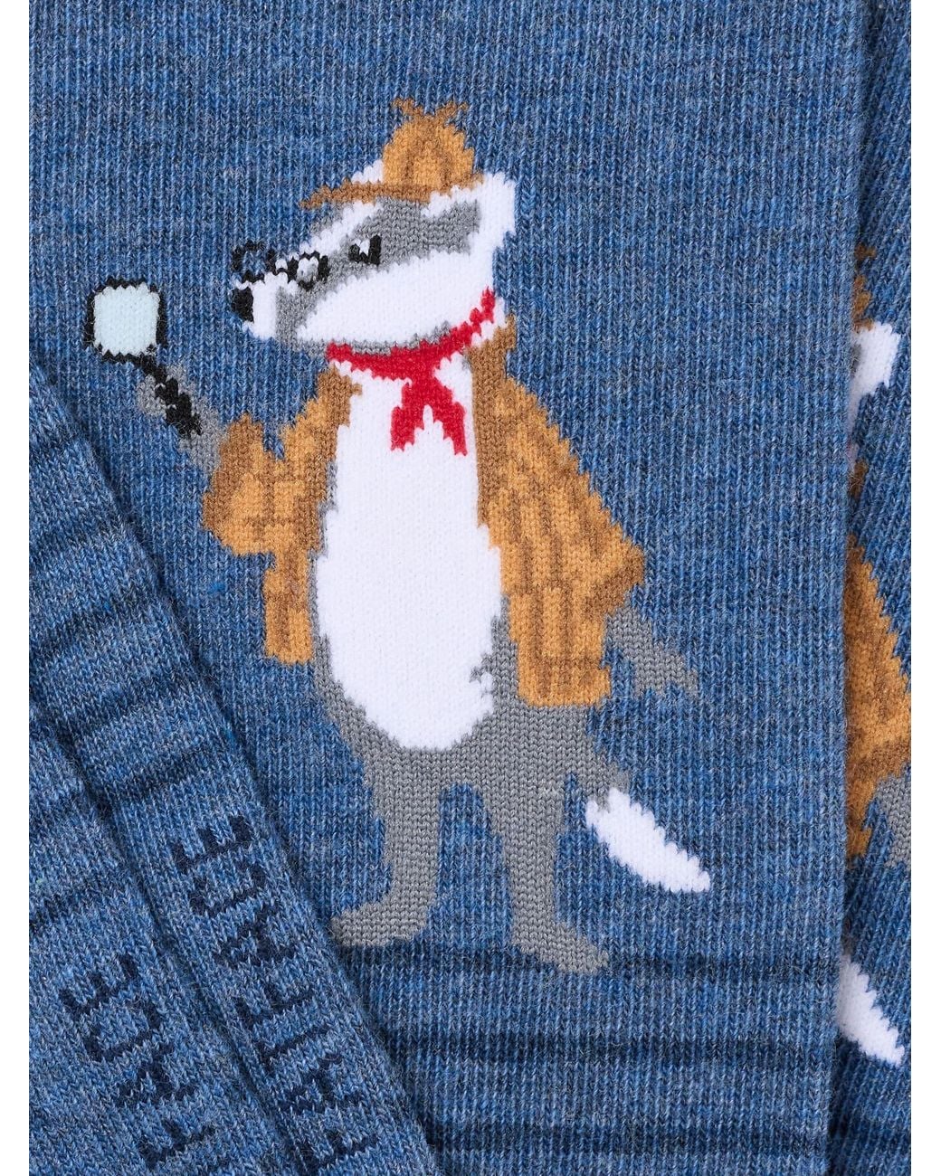 FatFace Blue Fatface Badger Socks for men