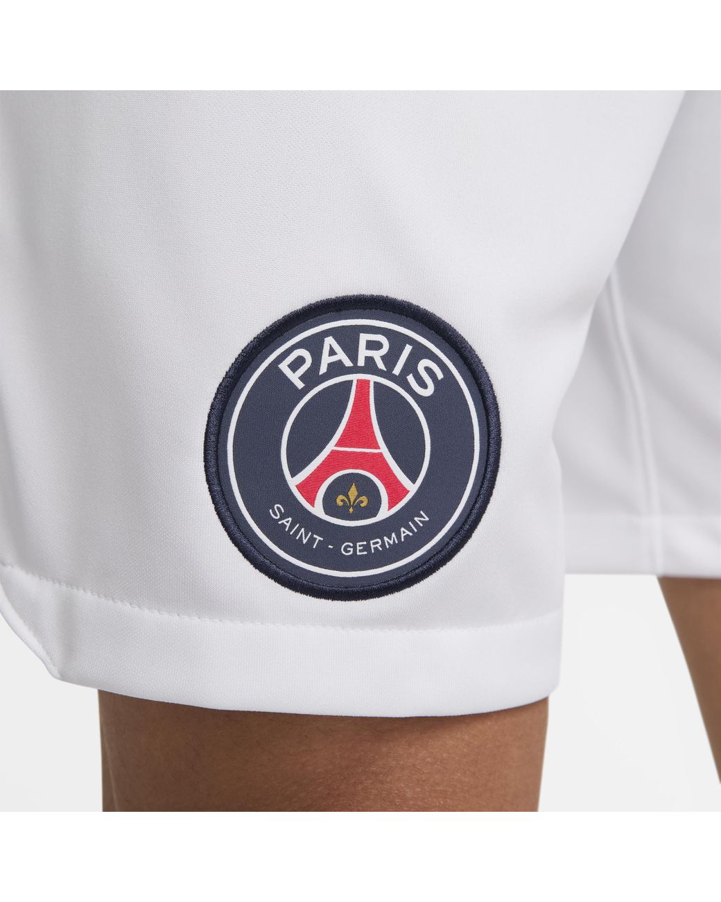 Paris Saint-Germain 2023/24 Stadium Third Men's Jordan Dri-FIT