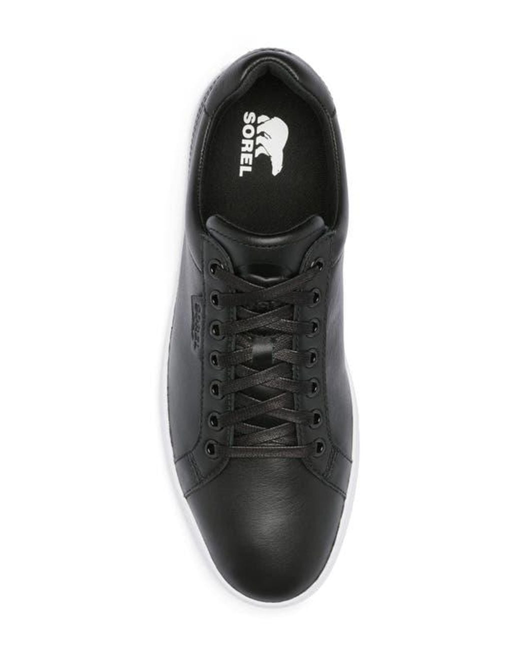 Sorel Black Cyprus Lx Sneaker for men