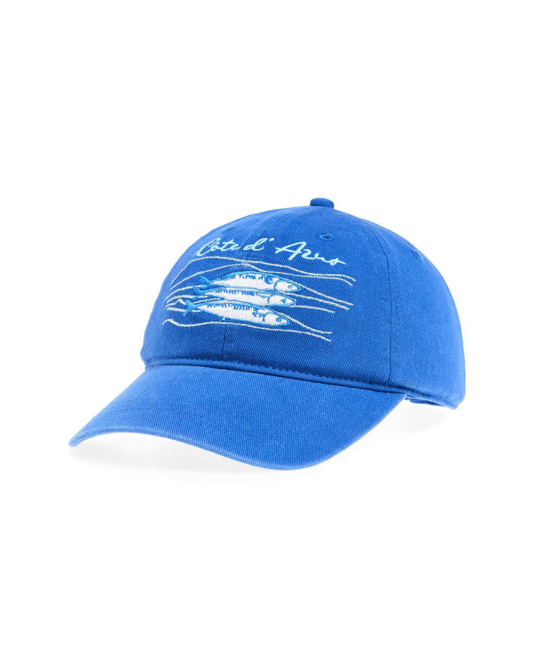 Treasure & Bond Blue Embroidered Baseball Cap