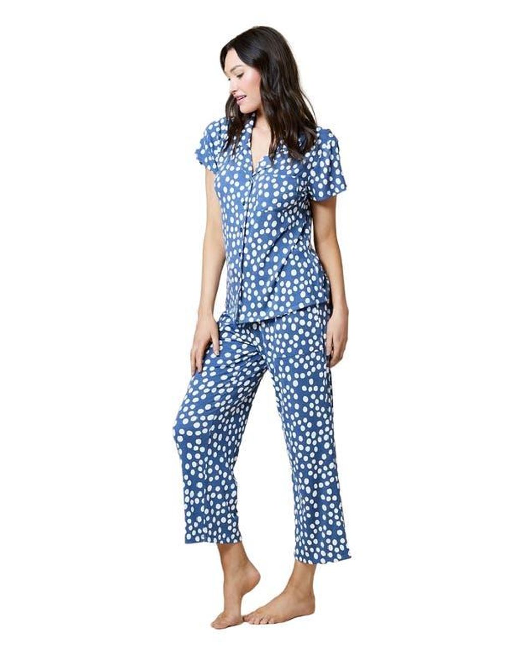 Softies Blue Aria