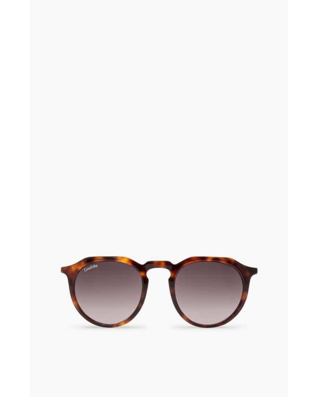 Cavalinho Brown Sunglasses City