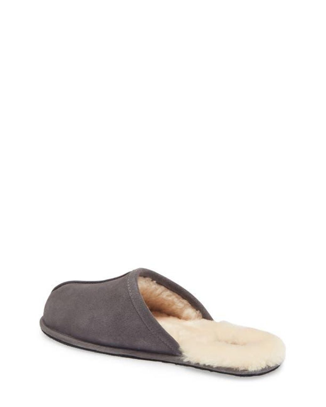 Ugg Gray Scuff Slipper for men