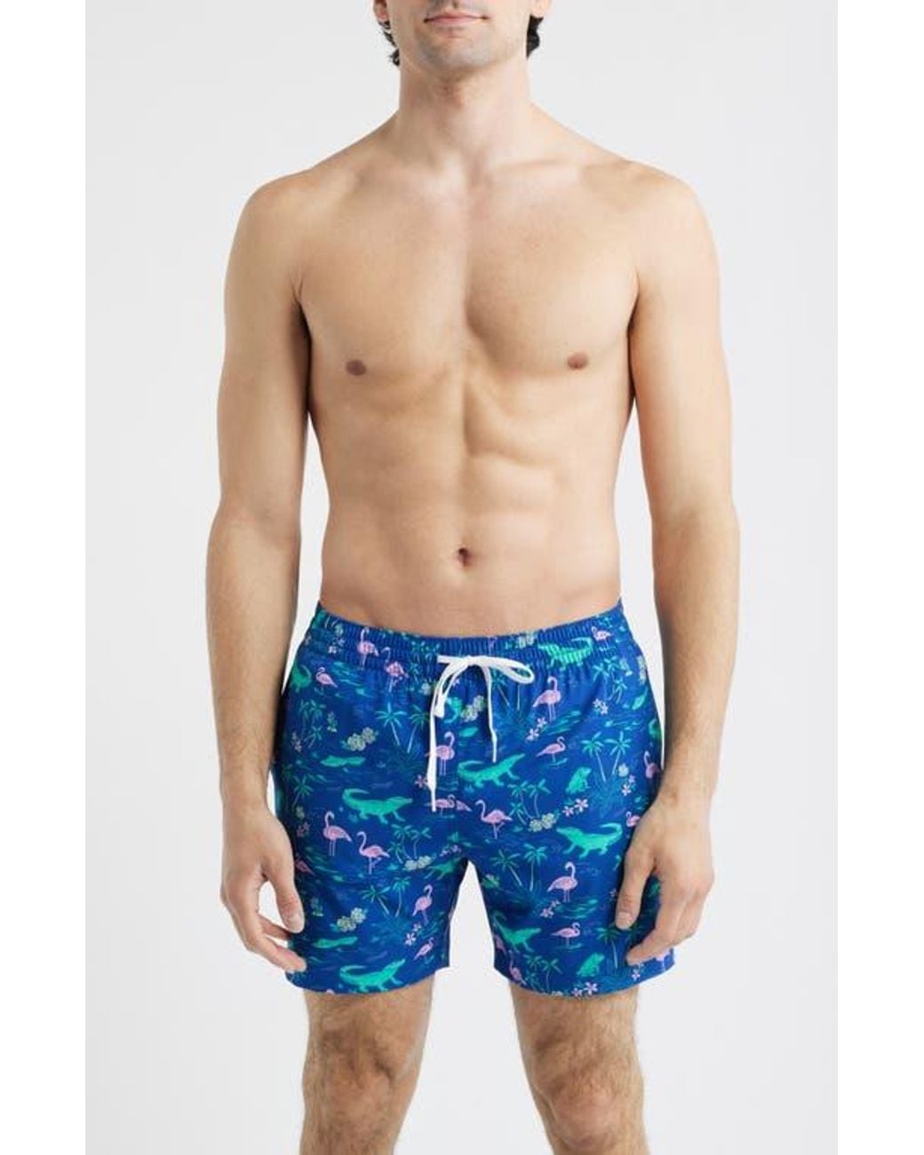 Chubbies The Swamp & Circumstance 5.5-Inch Swim Trunks in Blue for Men ...