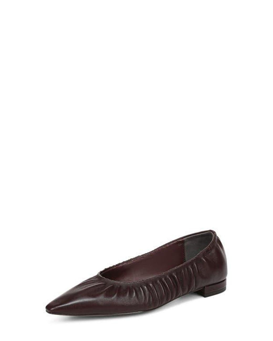 Sam Edelman Brown Essex Pointed Toe Flat