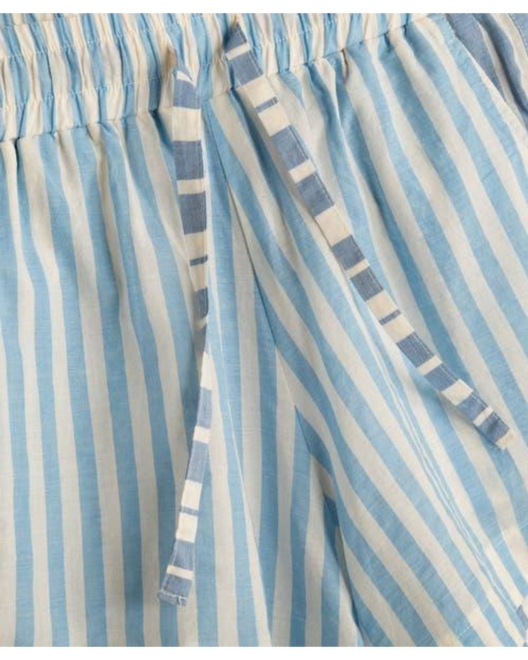 Echo Blue Cassis Shorts