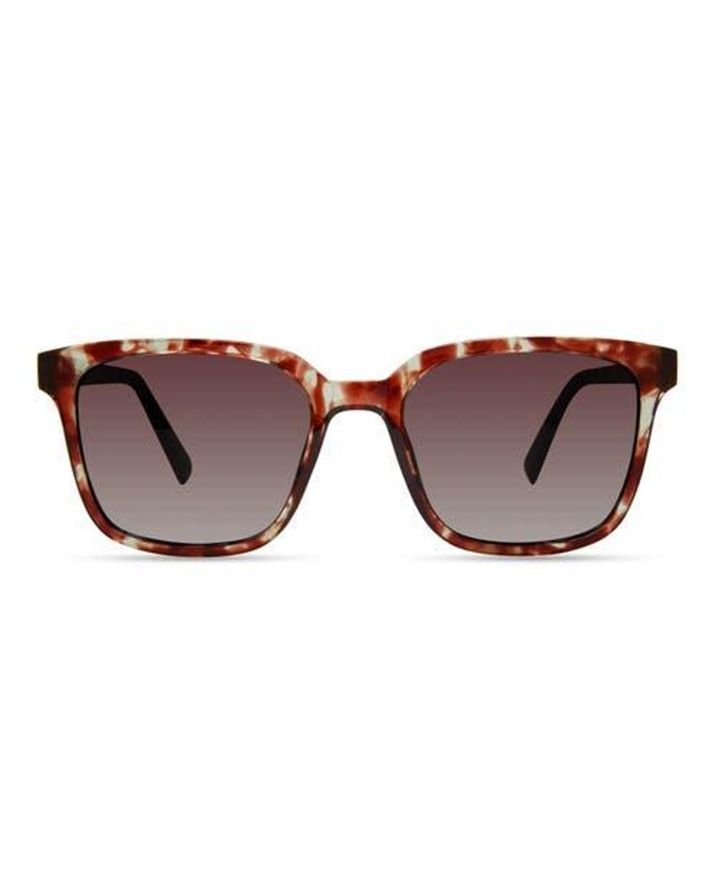 Eco Black Miller Sunglasses