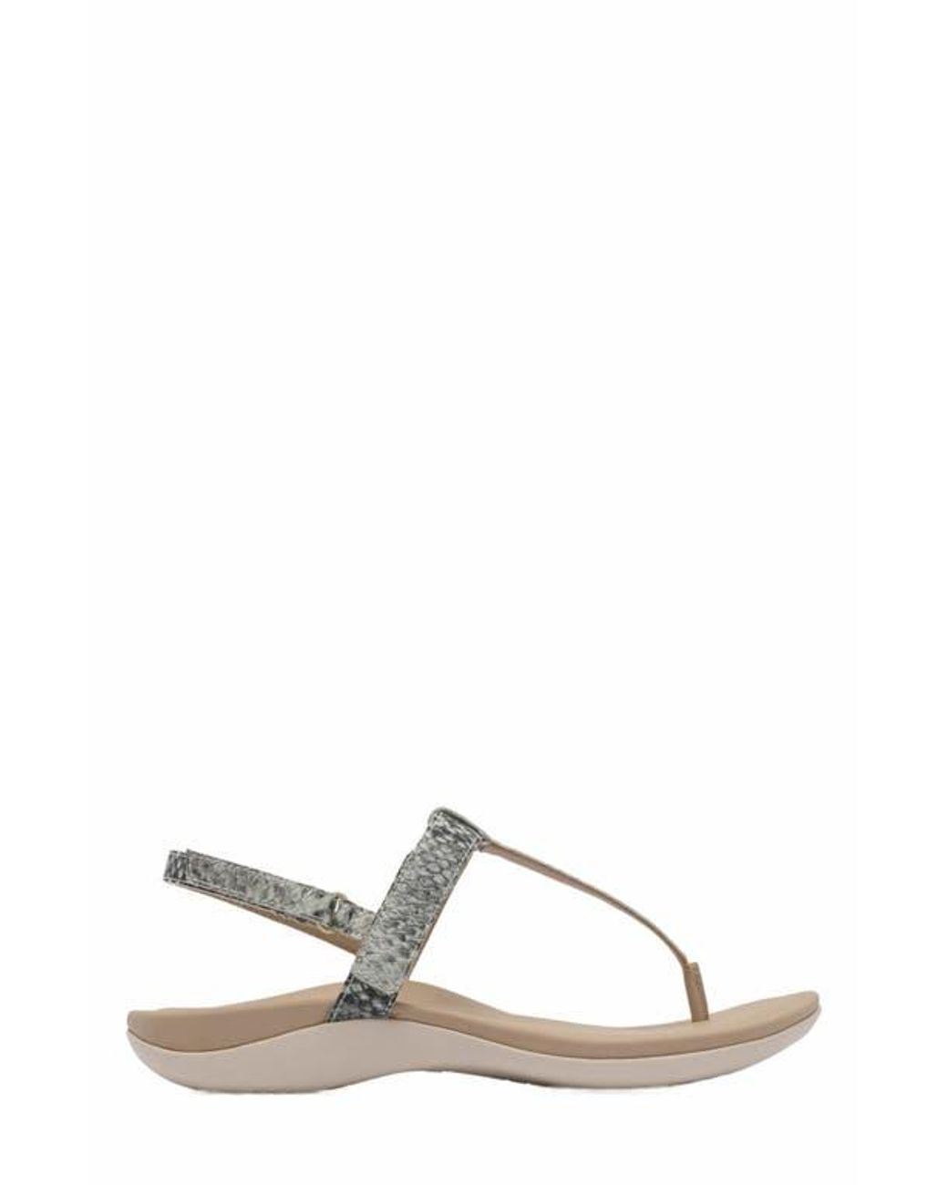 ABEO Metallic Oasis T Strap Sandal