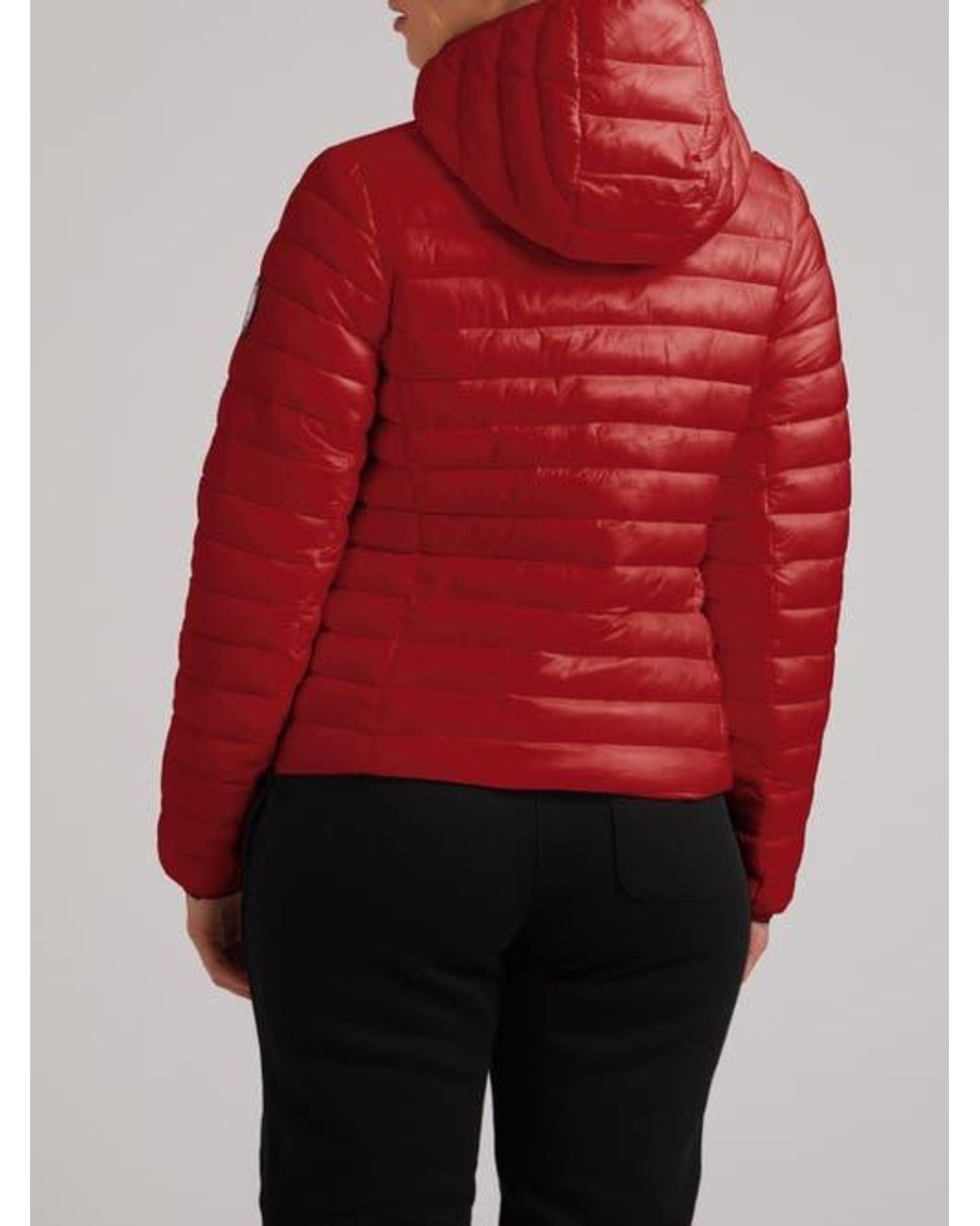 Jacket Red Satell1Te Padded Hooded Jacket