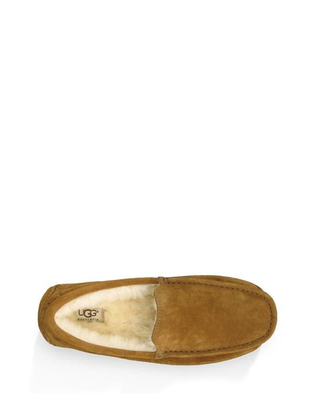 Ugg Brown ugg(r) Ascot Slipper for men