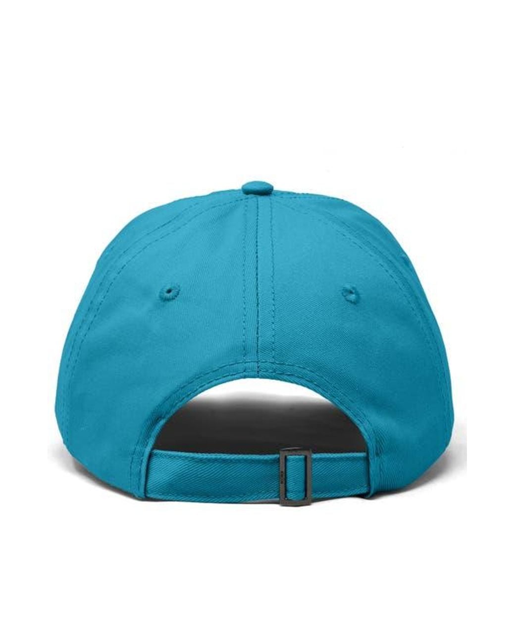 Alix Blue Cookie Dad Cap