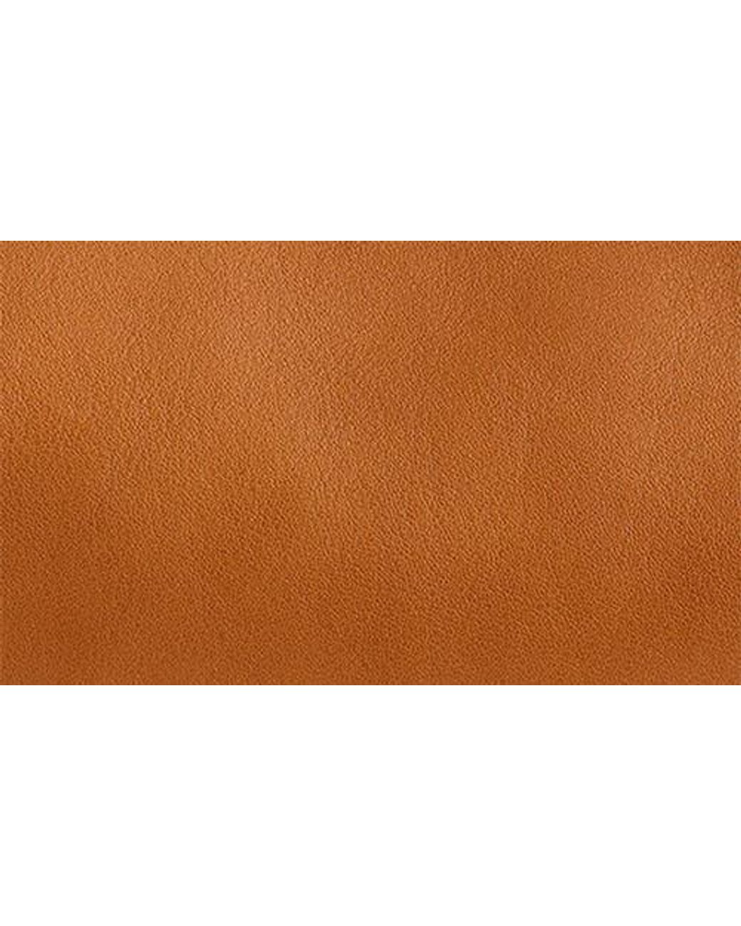 Madewell Brown The Lexington Leather Tote