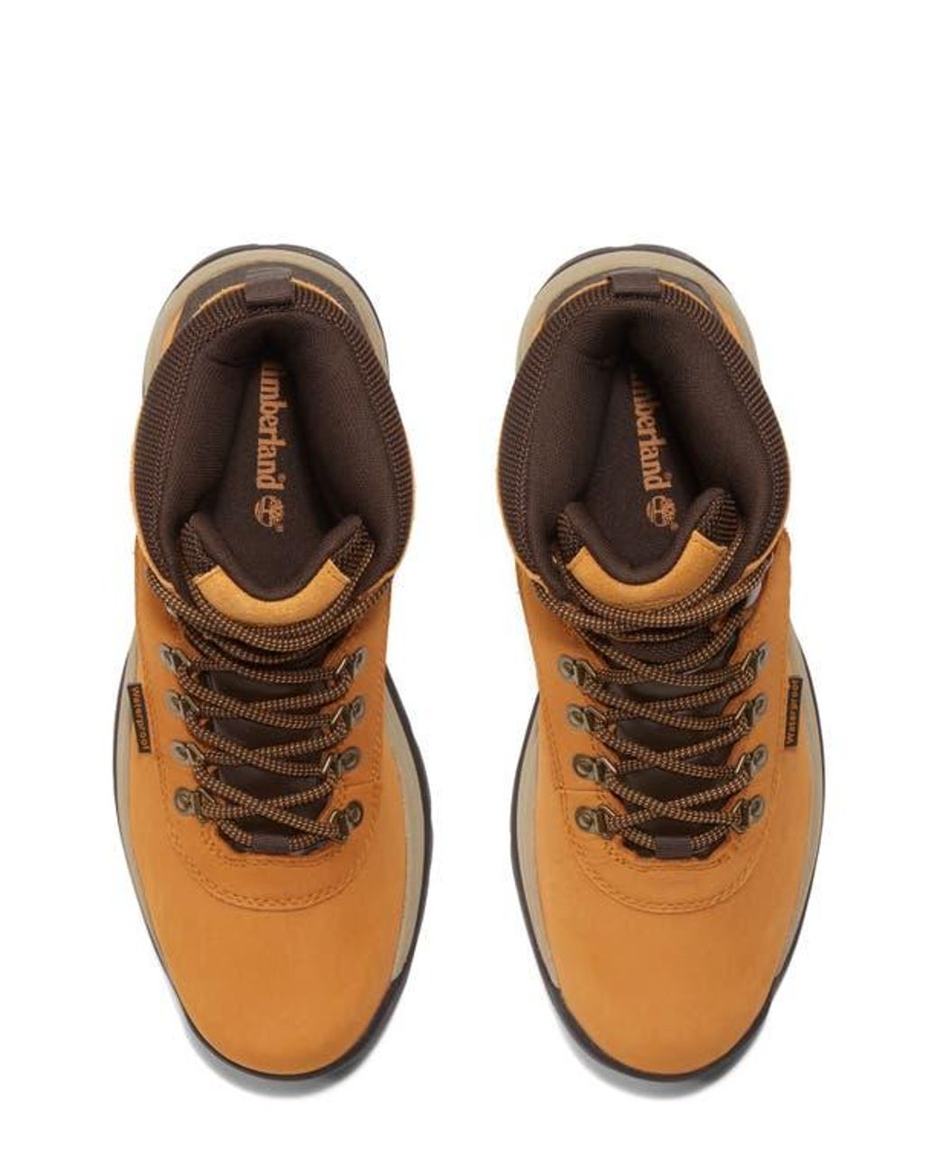 Timberland Natural Ledge Waterproof Hiking Boot for men