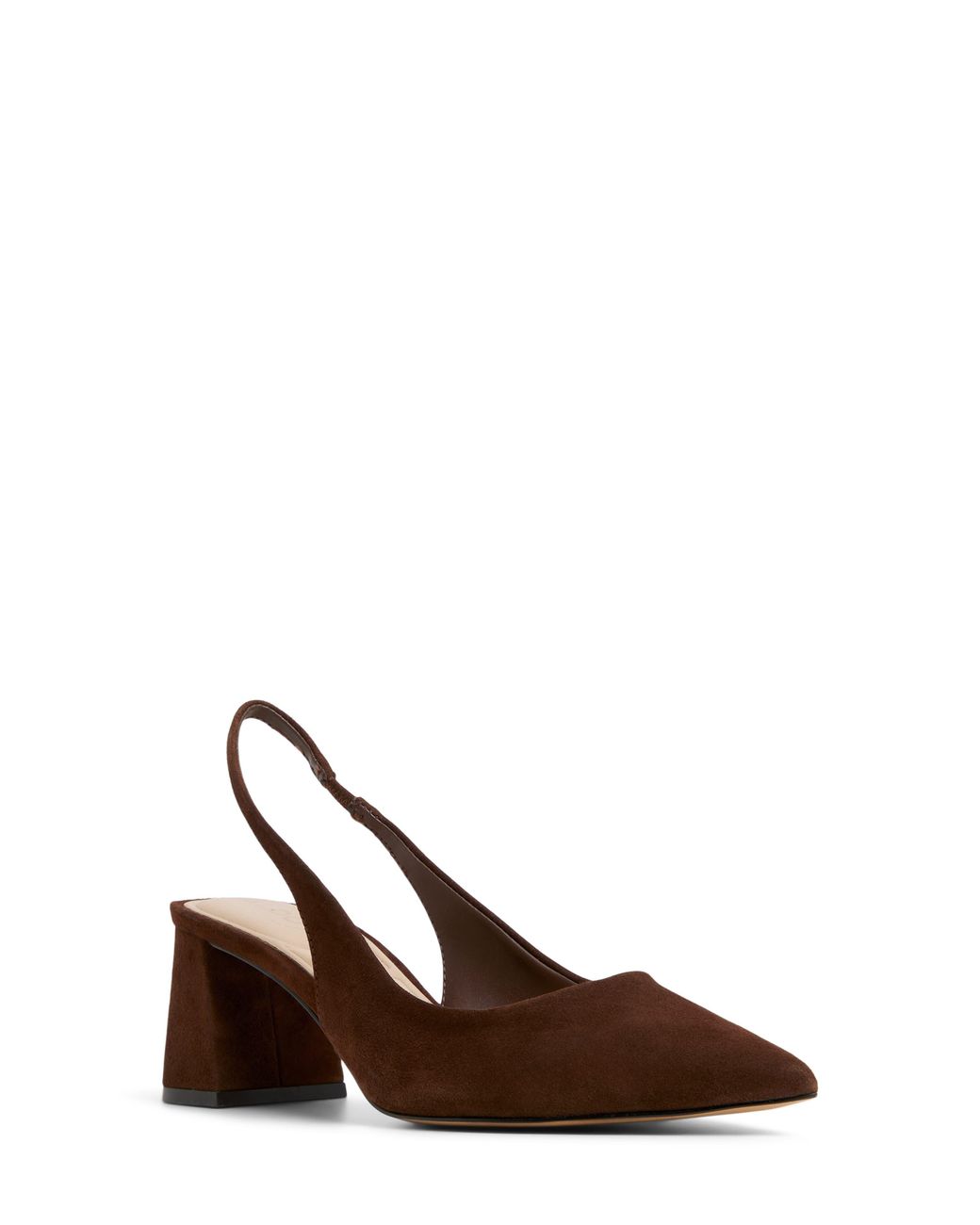 ALDO Brown Uliana Slingback Pointed Toe Pump