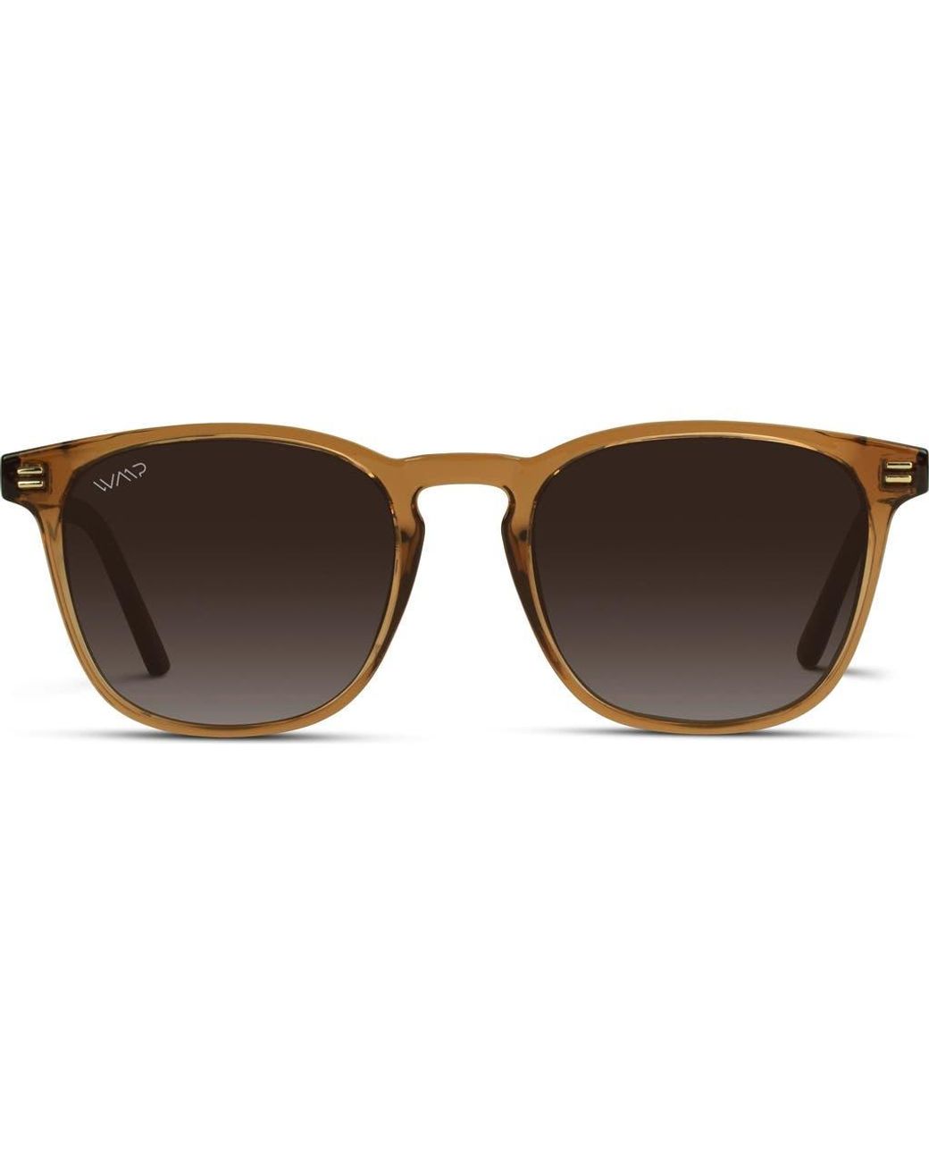 WMP Eyewear Brown Nick for men