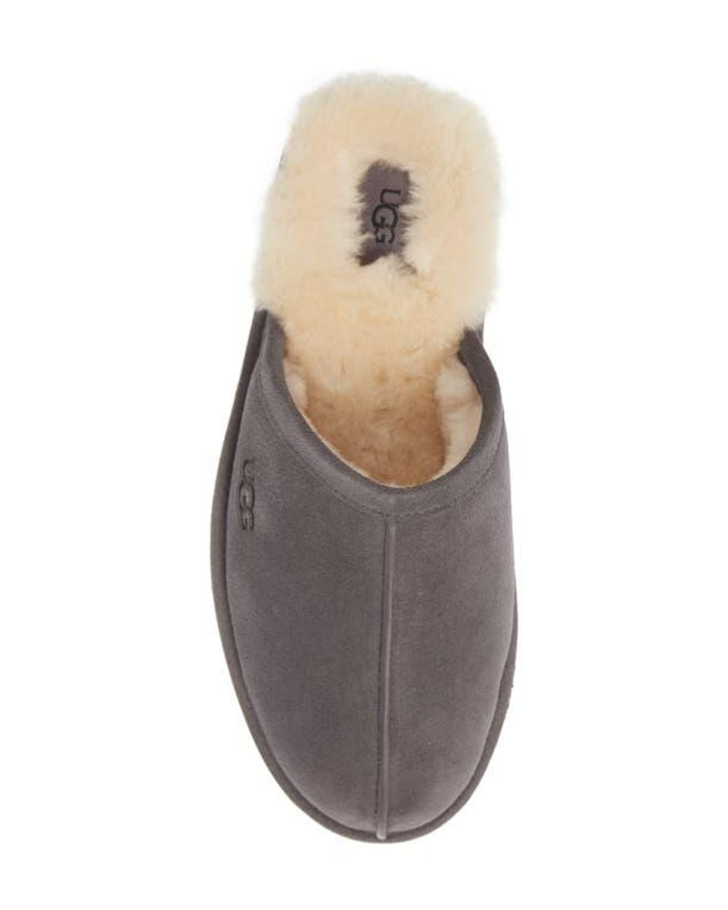 Ugg Gray Scuff Slipper for men