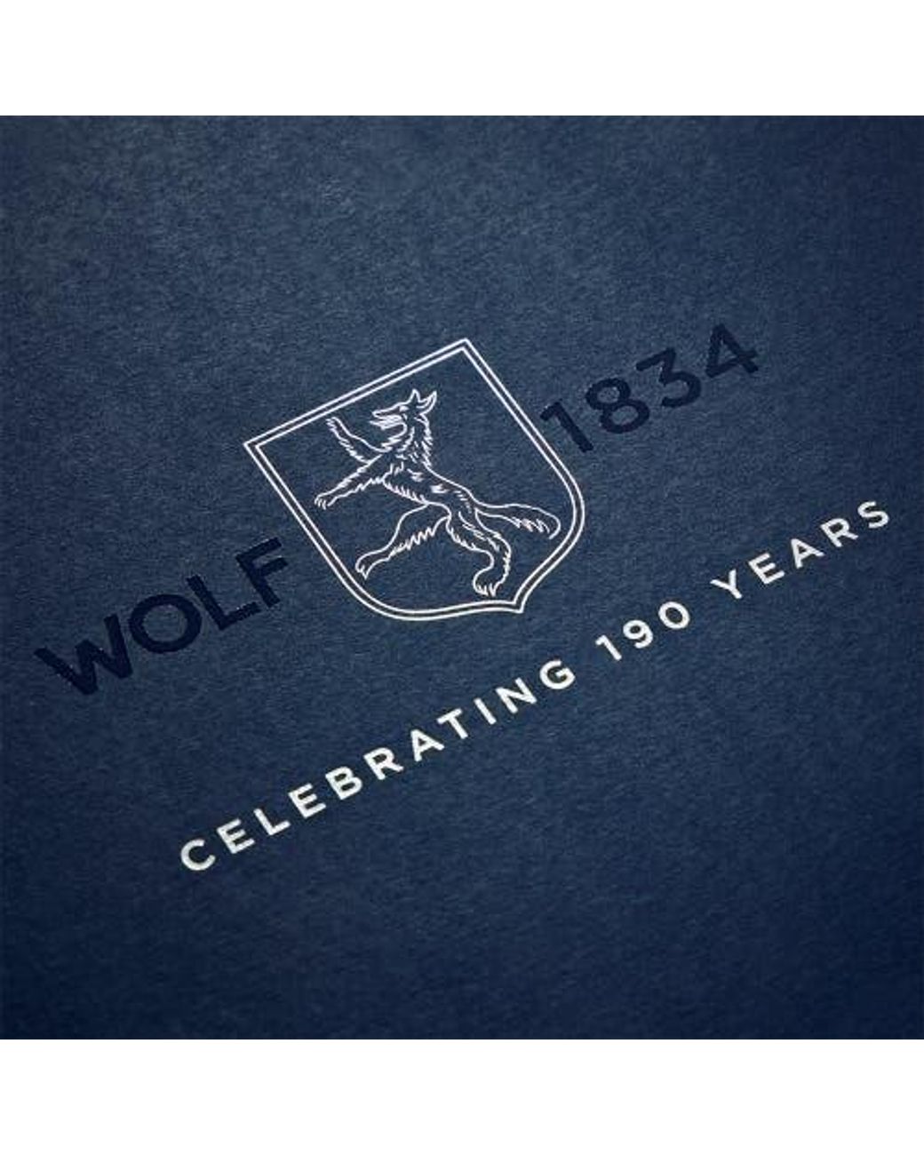 Wolf Blue Double Watch Winder for men