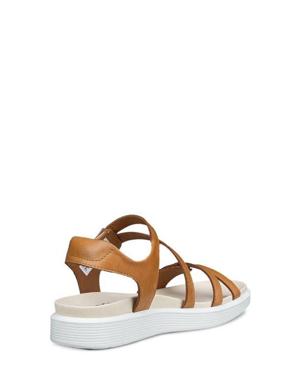Ecco Brown Soft Three Strap Sandal