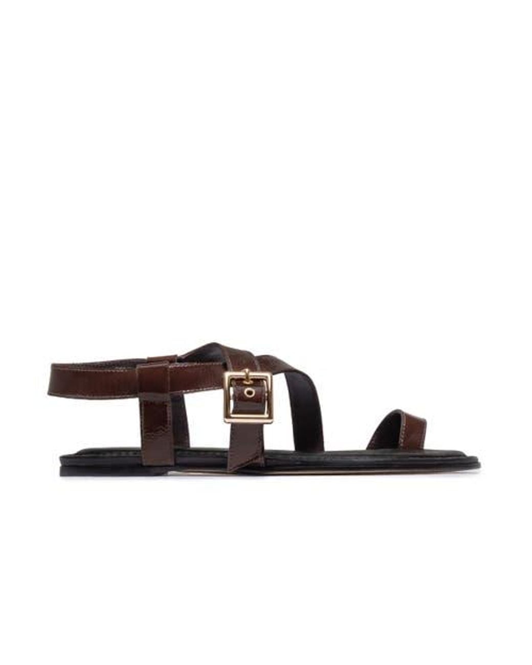 Bernardo Brown Hartshorn Toe Ring Sandal