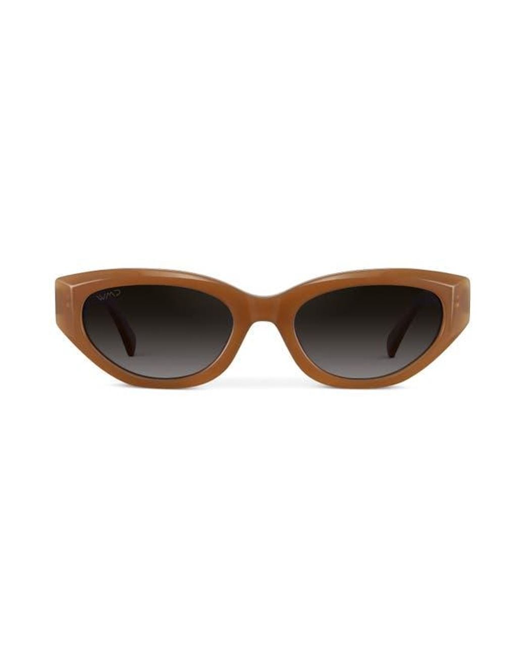 WMP Eyewear Brown Loretta