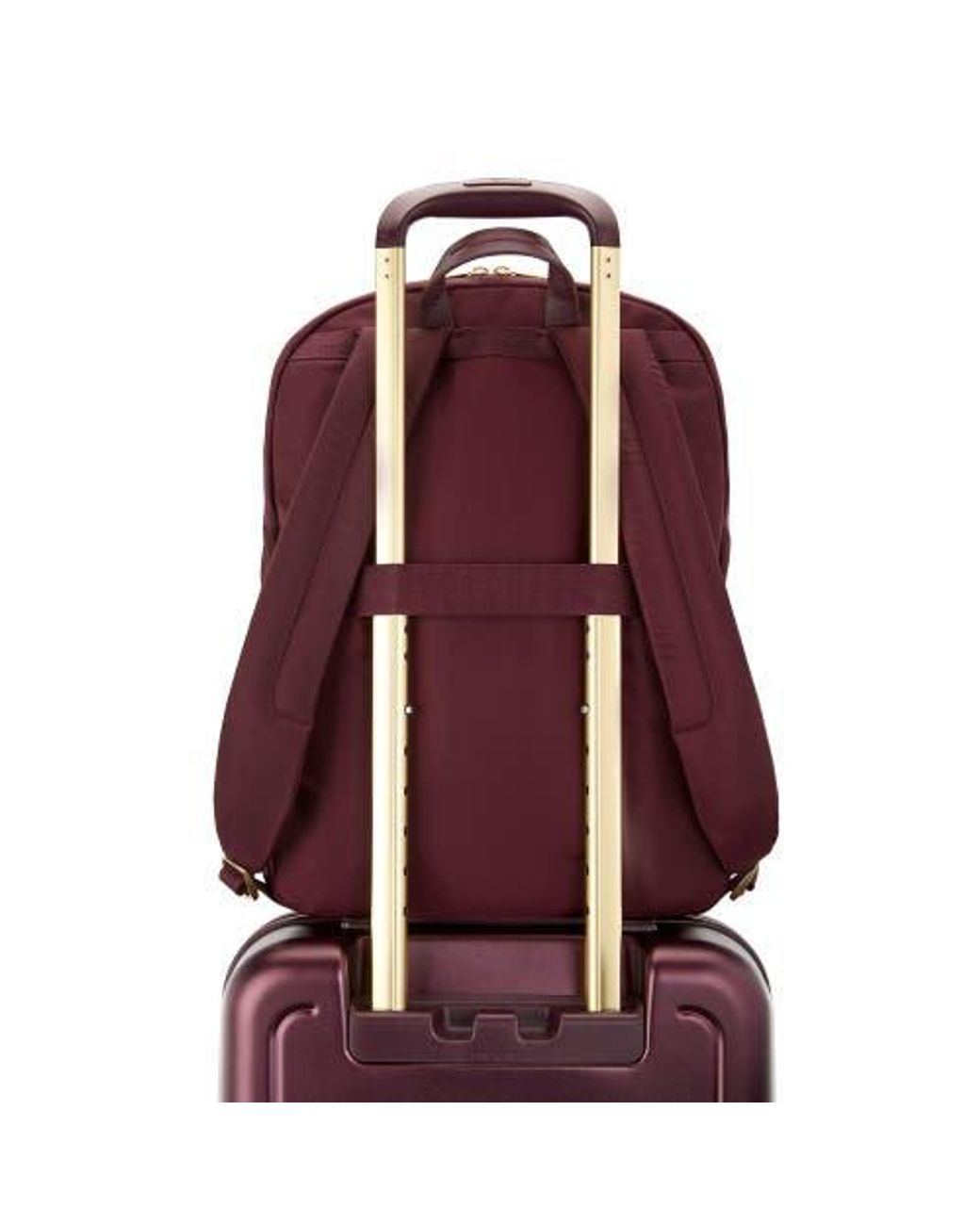 Samsonite Red Mobile Solution 2 Essential Backpack