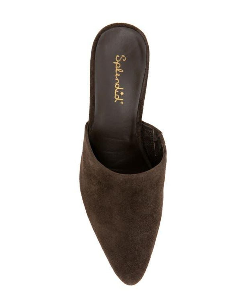 Splendid Brown Lorelei Mule