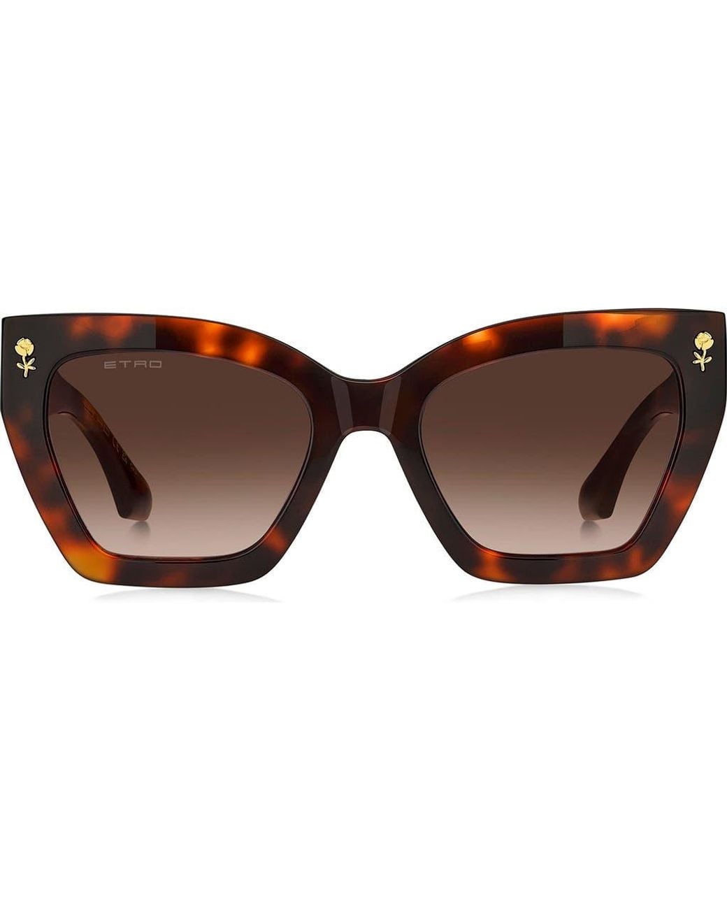 Etro Brown 55Mm Gradient Cat Eye Sunglasses