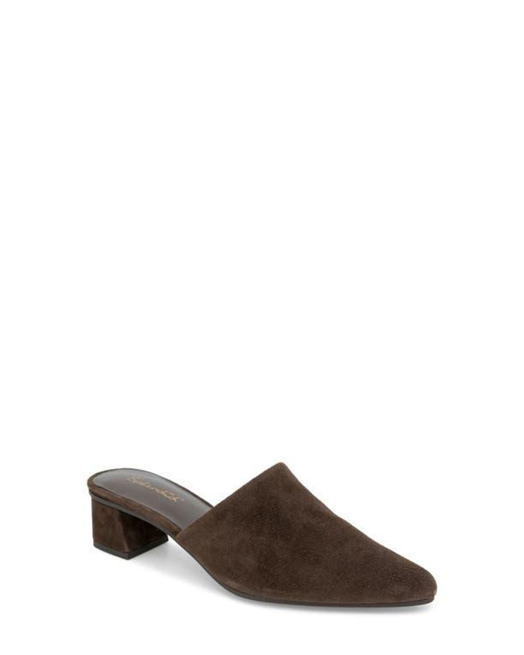Splendid Brown Lorelei Mule