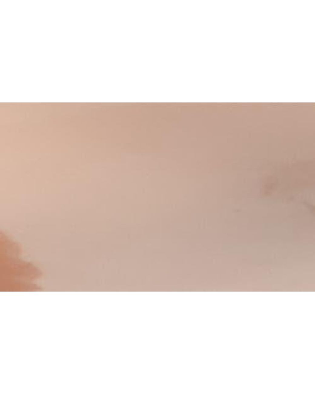 Melissa Pink Harmonic Iris Flip Flop