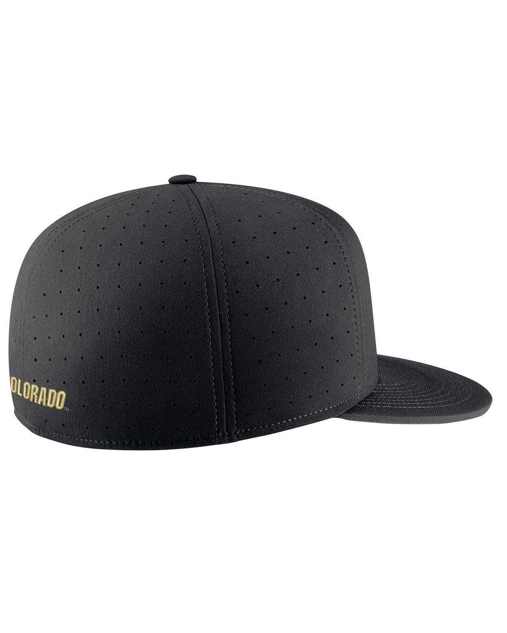 Nike true vapor hat on sale