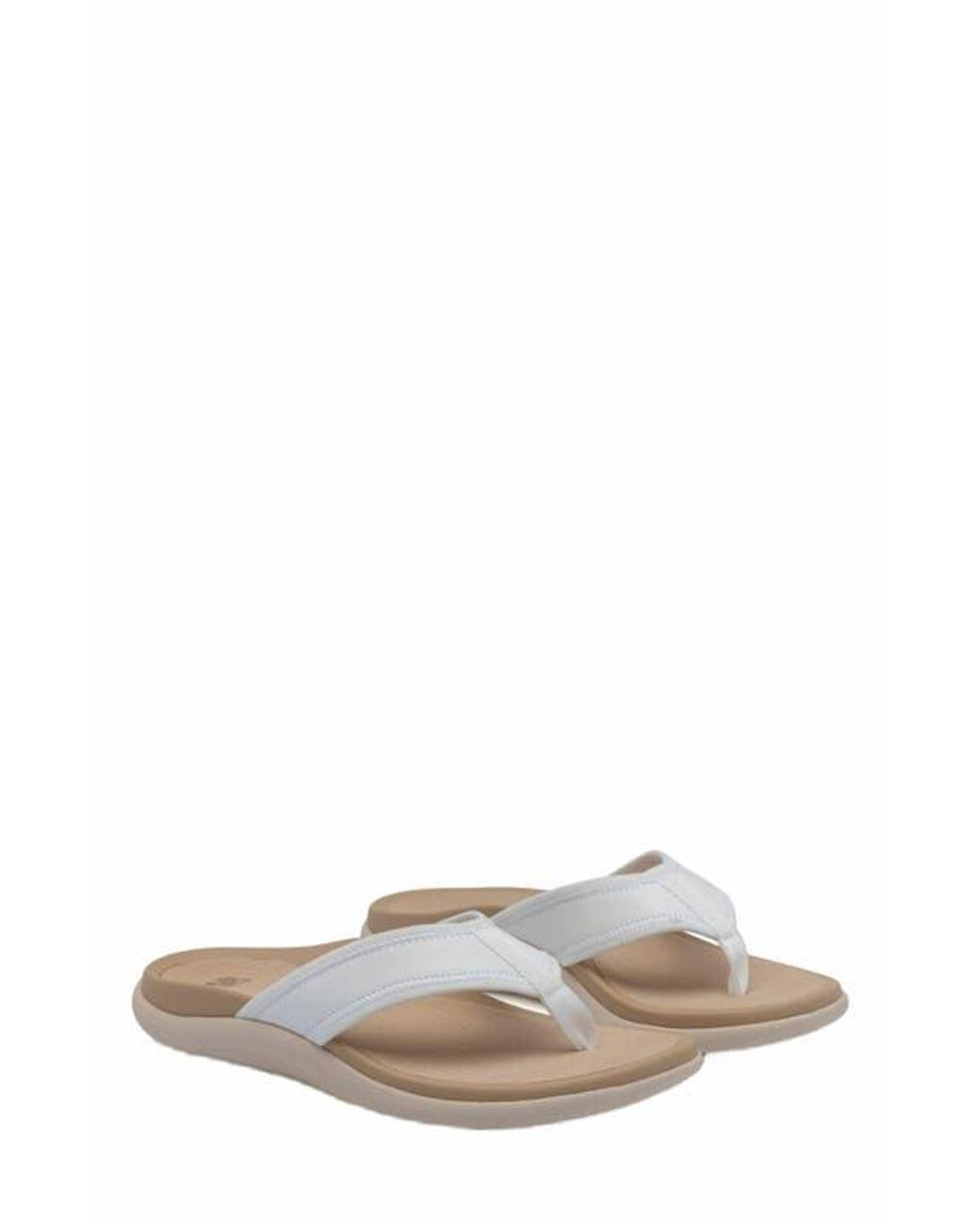 ABEO Multicolor Laguna Sandal