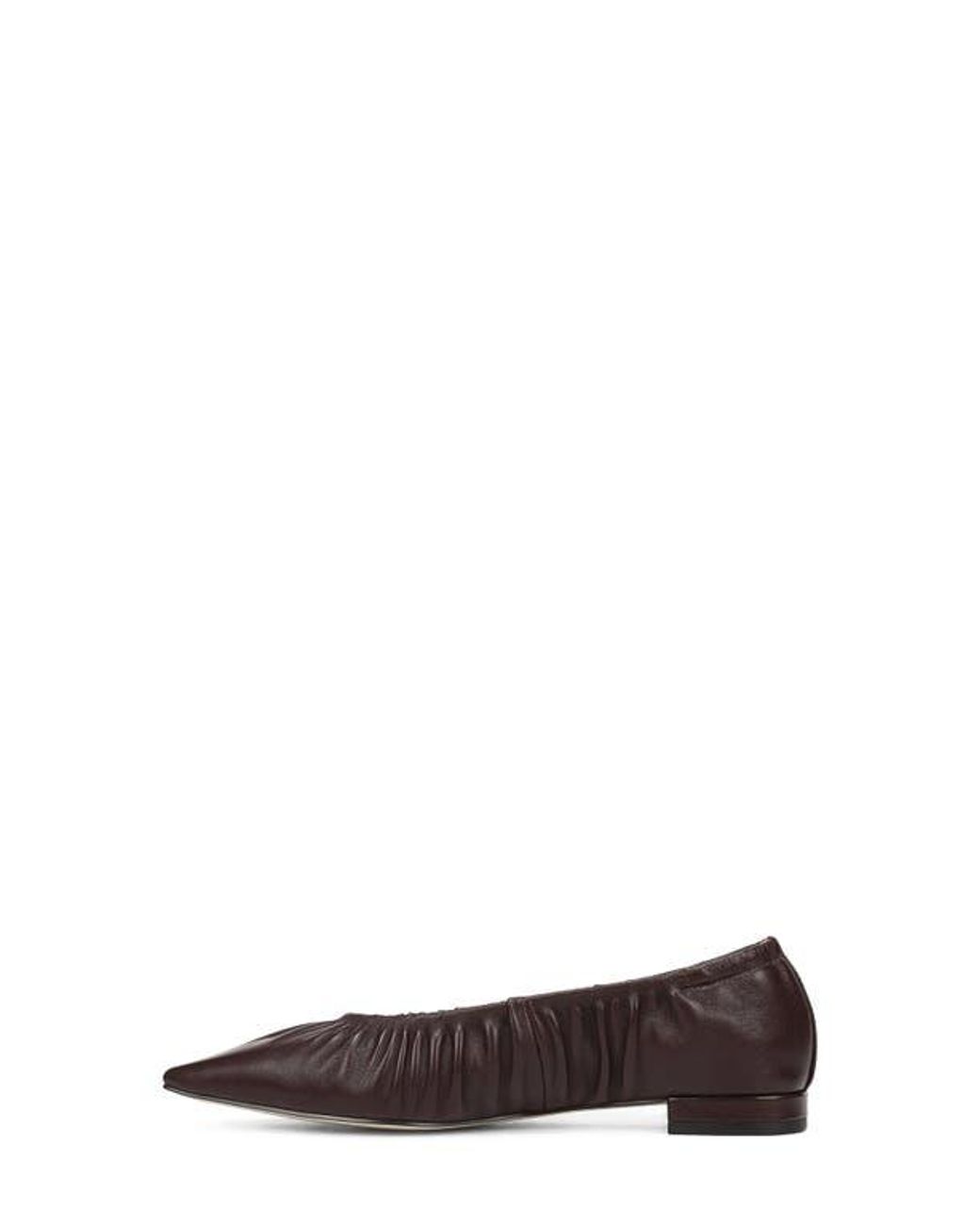 Sam Edelman Brown Essex Pointed Toe Flat