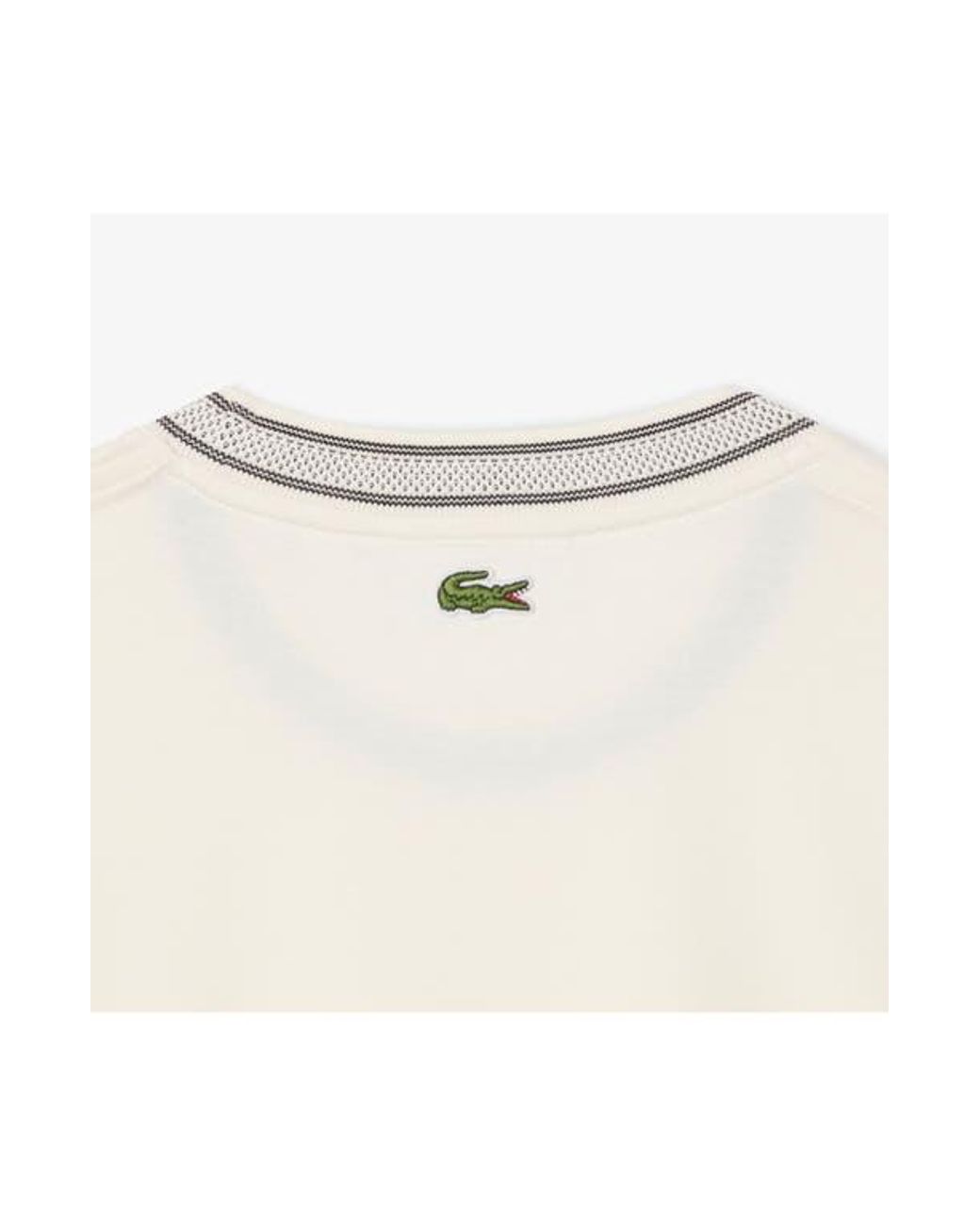 Lacoste White Cotton Ringer T-Shirt for men