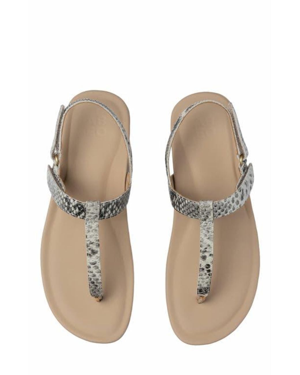 ABEO Metallic Oasis T Strap Sandal