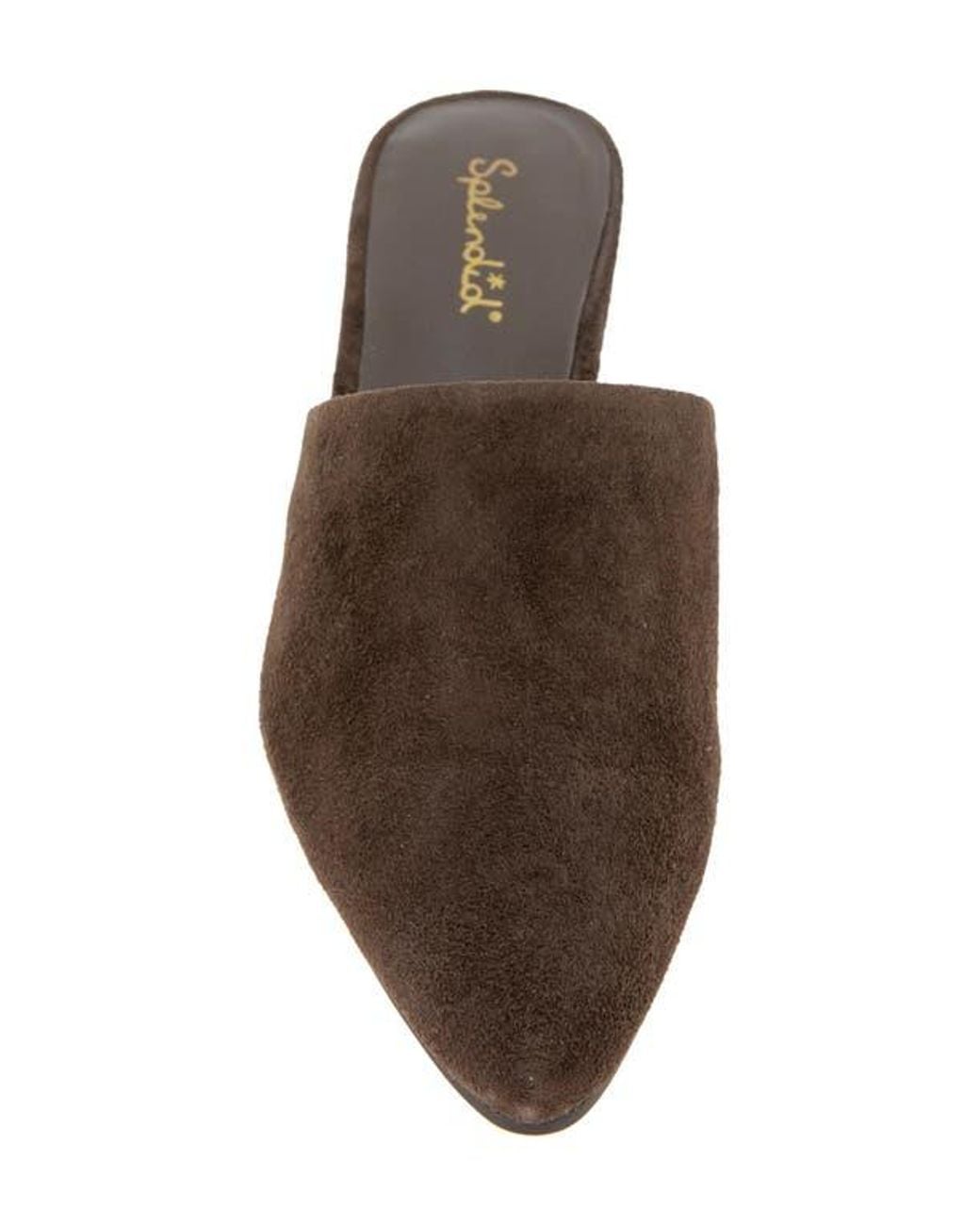 Splendid Brown Lorelei Mule