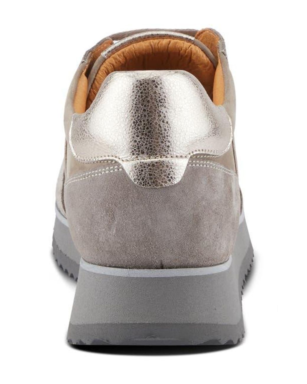 Spring Step Gray Compter Sneaker