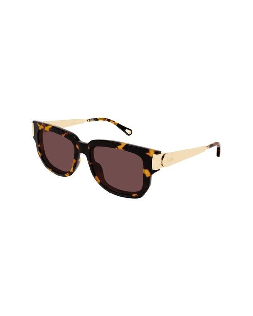Chloé Brown 54Mm Rectangular Sunglasses