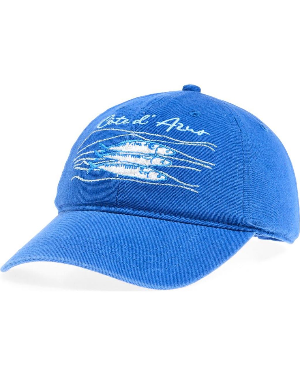 Treasure & Bond Blue Embroidered Baseball Cap