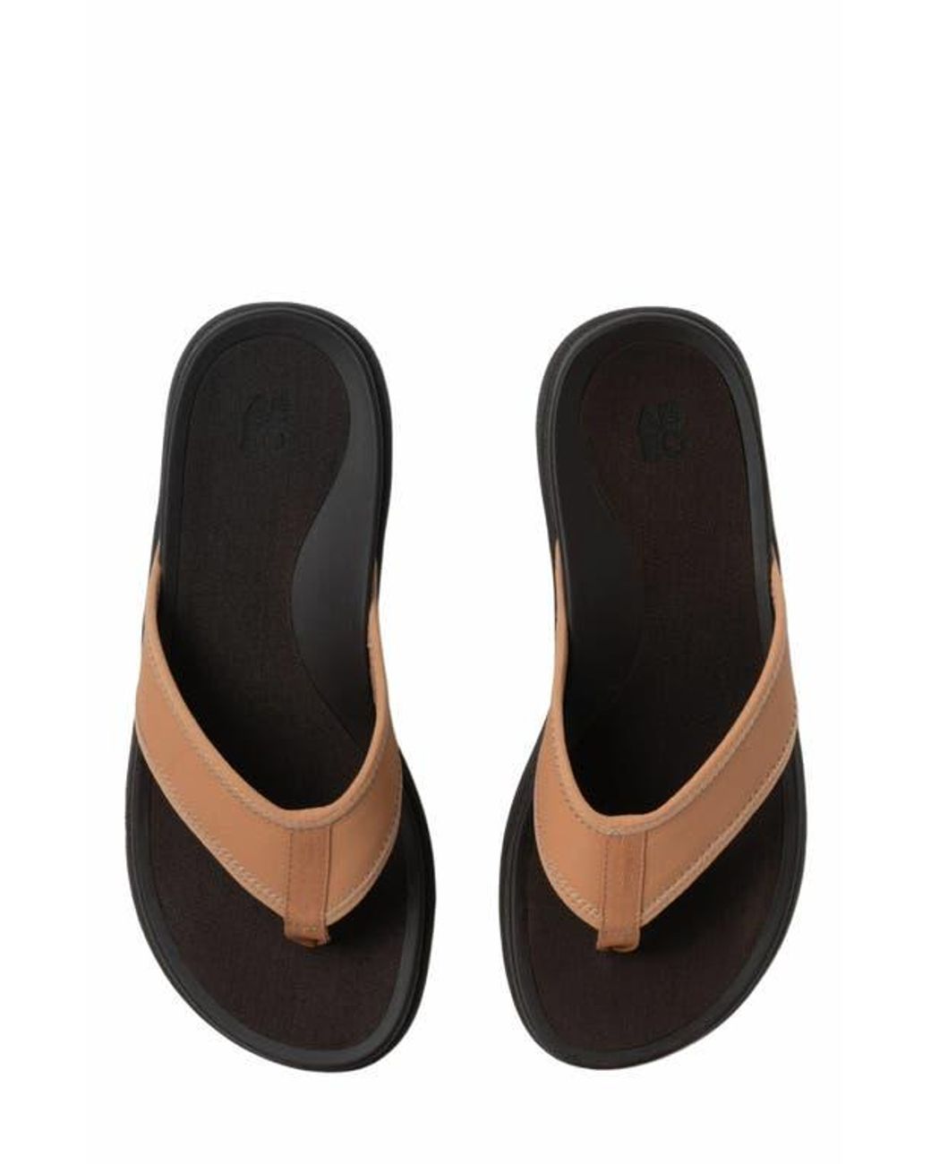ABEO Brown Laguna Sandal