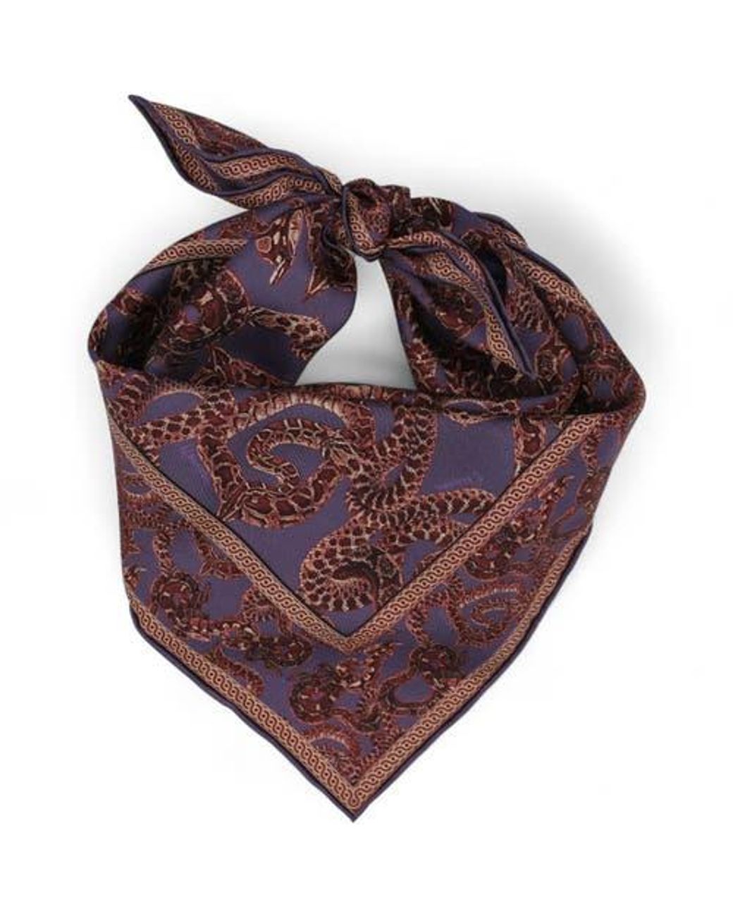 Monzlapur Red Silk Snake Scarf